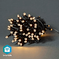 Miniatyrbillede 1 af 9: SmartLife jluelys | Snor | Wi-Fi | Varm Hvid | 50 LED's | 5.00 m | Android™ / IOS