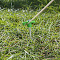 Pikkukuva 6 / 7: Tentpeg 25cm metalli muovikoukulla hohtava pimeässä 6 kpl polybagissa