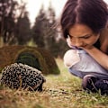 Miniatyrbild 3 av 8: Igelkottshus Igloo