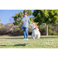 Pikkukuva 2 / 5: Chuckit sniff fetch balls md canister 4pk