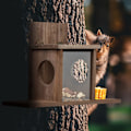 Miniatyrbild 3 av 8: Ekorrfoderautomat med 2 ingångar