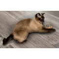 Miniatyrbild 2 av 3: Cat Dancer Ring Tail Chasers 2-pack