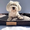 Miniatyrbillede 7 af 7: Hundeseng brun XL med personalisering