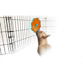 Miniatyrbild 6 av 6: AFP Calming Pals- Slicka en disk