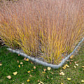 Miniatyrbillede 5 af 8: Metal plænekant 6 m