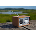 Pikkukuva 8 / 8: DABMAN 30 Mobiili DAB+ / FM-radio Puu