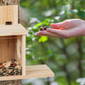 Miniatyrbillede 3 af 9: Hus til fodring af egern