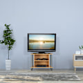Pikkukuva 5 / 7: TV-pöytä pyörillä ja 2 lokeroa