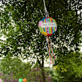 Miniatyrbillede 2 af 7: Pinatas fødselsdag