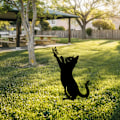 Miniatyrbillede 3 af 6: Dekorativt objekt Kat 01
