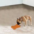 Pikkukuva 3 / 6: AFP Bone Appetit - Tasty Bone Lick Mat - S