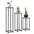 Pikkukuva 1 / 10: Plant Set 3-Osainen Kukkajakkara Ja Kukkaruukkuteline Teräksestä, Musta + Luonnollinen