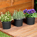 Miniatyrbillede 2 af 9: Havekrukke i plast, sort, rund, 14,5 cm, 3 stk.