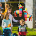 Pikkukuva 5 / 7: Pinata aasi värikäs