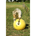 Miniatyrbild 5 av 6: Maximus Power Play Ball 100cm