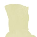 Miniatyrbillede 7 af 8: Engangs poncho sæt med 10 stk Yellow one size