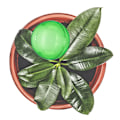 Pikkukuva 5 / 8: Vesipallot - 4 kpl sarja