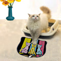 Miniatyrbild 1 av 2: Kattsand Mat Kdkafa0005