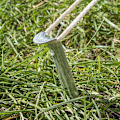 Pikkukuva 7 / 7: Tentpeg 22cm metalli puolipyöreä 10 kpl polybag