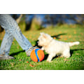 Miniatyrbillede 3 af 6: Chuckit Kick Fetch S 14 cm