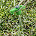 Pikkukuva 7 / 7: Tentpeg 25cm metalli muovikoukulla hohtava pimeässä 6 kpl polybagissa
