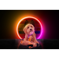 Miniatyrbillede 2 af 3: Retrodog Donkey Orange M