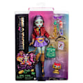 Pikkukuva 3 / 7: Monster High Jinafire Long
