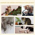 Miniatyrbild 5 av 10: Skrapstolpe 142H Cm Kattträd Med Kattgrottor & Plattformar, Sisalpelare, Kattleksak, Tippskydd, Grå