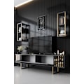 Miniatyrbillede 3 af 9: TV Unit Gold Line - antracit, sort