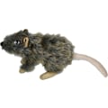 Miniatyrbillede 2 af 5: Wild Life Hunde Rotte