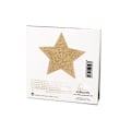 Pikkukuva 4 / 5: Bijoux - Indiscrets Flash Golden Star -nänninsuojukset