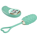 Pikkukuva 5 / 10: Pretty Love - Vivian Green Remote Control Vibrating Egg