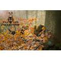 Miniatyrbillede 3 af 4: Wild Life Hundeegern