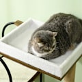 Miniatyrbild 10 av 10: Klapstolpe 118,5 cm kattträd med kattgrotta, säng, skrapmatta, kattskrapstolpe med lekboll, spetsskydd, för katter upp till 5 kg, rustikbrun