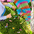 Pikkukuva 5 / 8: Pinata-aasi monivärinen