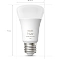 Pikkukuva 2 / 3: Philips Hue LED-älylamppu, white and color ambiance, E27,1100 lm, 2-pack