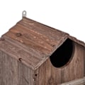 Miniatyrbillede 8 af 8: Uglereden Box Wood