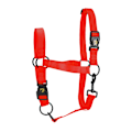 Miniatyrbillede 1 af 3: Fremragende Horse Essential Halter XS Mini Føl Rød