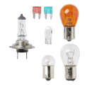 Miniatyrbillede 3 af 4: Reservepæresæt H7 7-delt (21W rav)