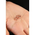 Miniatyrbillede 3 af 5: Sølvørering FA182245