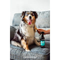 Pikkukuva 2 / 2: Animology Knot Sure Detangle Spray
