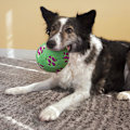 Pikkukuva 3 / 3: KONG Sneakerz Sport Soccer Ball Md