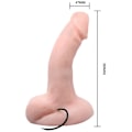 Miniatyrbillede 2 af 9: Baile - Vilkårlig Dildo Vibrations- og Rotationsfunktion