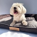 Miniatyrbillede 6 af 7: Hundeseng brun XL med personalisering