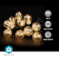 Miniatyrbild 1 av 9: SmartLife Julbelysning | Festljus | Wi-Fi | Varm Vit | 10 LED's | 9.00 m | Android™ / IOS | Glödlampediameter: 45 mm