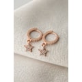Miniatyrbillede 2 af 4: Sølvørering FA182757R