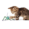 Miniatyrbillede 3 af 3: KONG Crackles Grasshopper EU