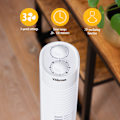 Miniatyrbillede 5 af 8: Søjleventilator med timer