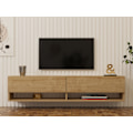 Miniatyrbild 2 av 6: TV-enhet Arges - Safir Ek