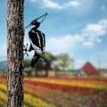 Miniatyrbillede 3 af 6: Dekorativt objekt fugl på grenen 10 - sort